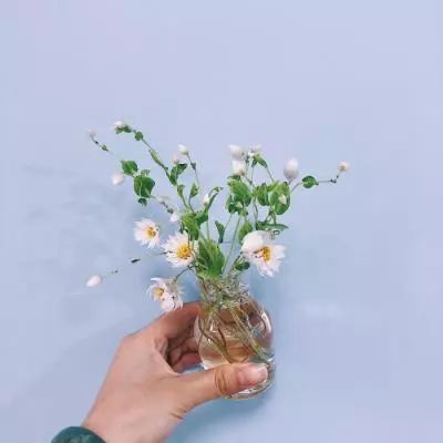 skinseed橙色中文版下载我的世界皮肤编辑器